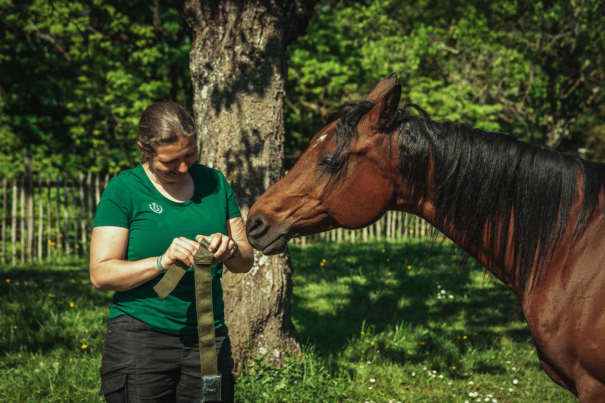 Mobile Pferdewaage und unabhängige Futterberatung